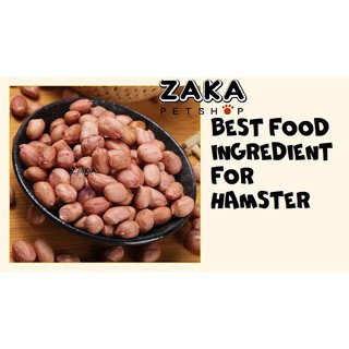Đậu phộng 100g cho hamster, sóc