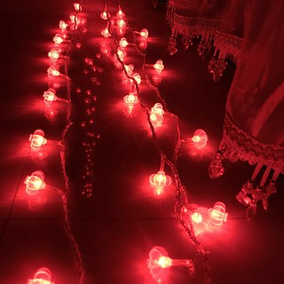 Đèn led trang trí lễ hội, đèn lồng trang trí tết cổ truyền ấm áp