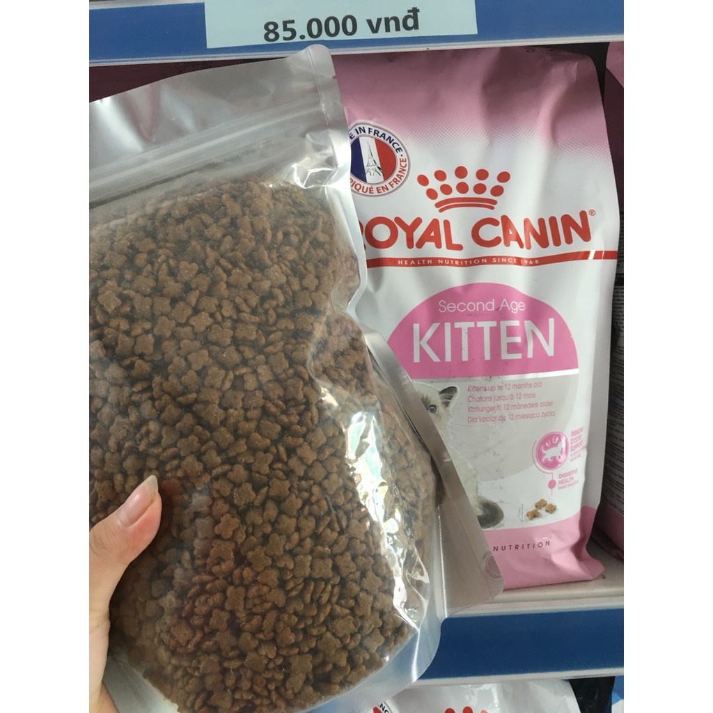 Thức ăn cao cấp cho mèo con KITTEN 36 Bao 10kg