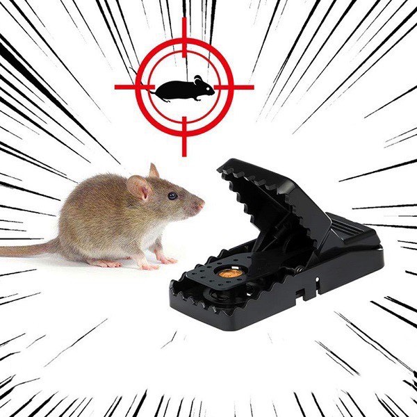 Kẹp bẫy chuột thông minh
