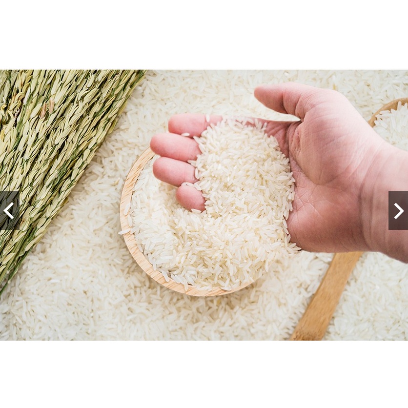 Gạo Tiến Vua 5Kg - Thái Dương