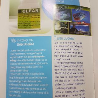 Sình bụng phân trắng cho cá CLEAR Thái