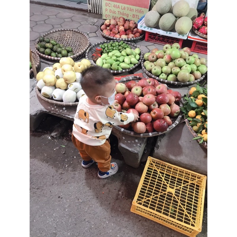 Bộ voi thu đông cho bé trai