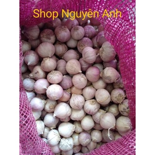 1KG tỏi cô đơn