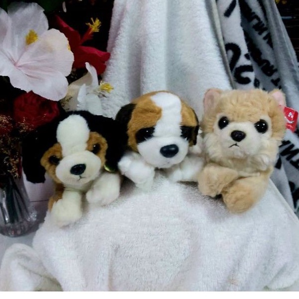 Chó nhồi bông giống thật_ chó con dáng nằm