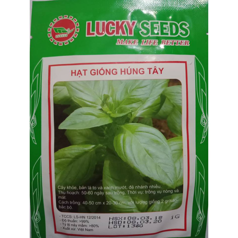 Cung Cấp Hạt giống rau húng tây LUCKY SEEDS -1 gr hạt đẹp