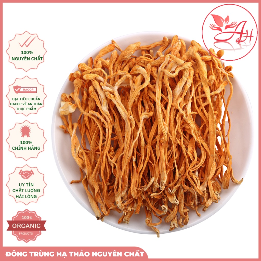 Đông Trùng Hạ Thảo 100gr Sấy Khô Sợi To Ngon Hàng Cao Cấp Bồi Bổ Cơ Thể