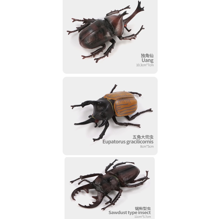 Đồ chơi mô hình côn trùng bò sát cho trẻ nhỏ