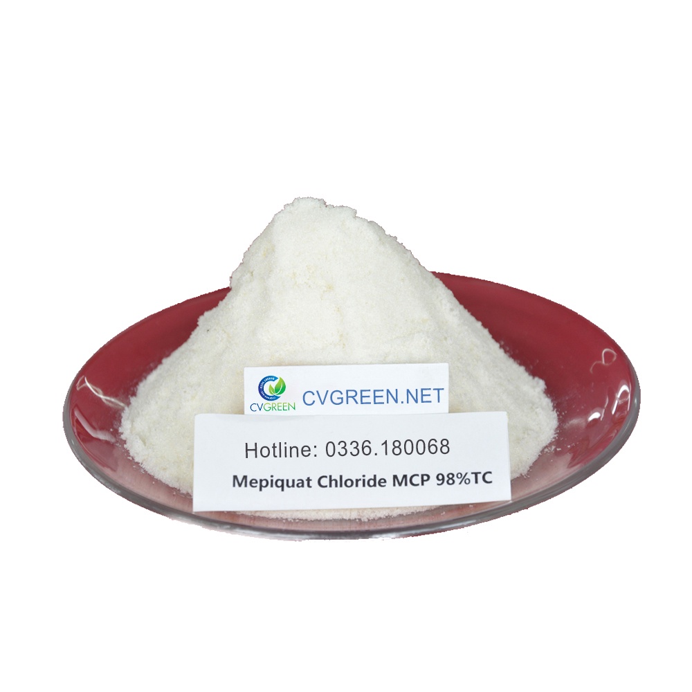 Mepiquat Chloride 98% chất ức chế sinh trưởng, kiểm soát chiều cao, tăng năng suất (gói 100g)