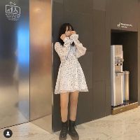 ĐẦM HOA NHÍ - ảnh thật