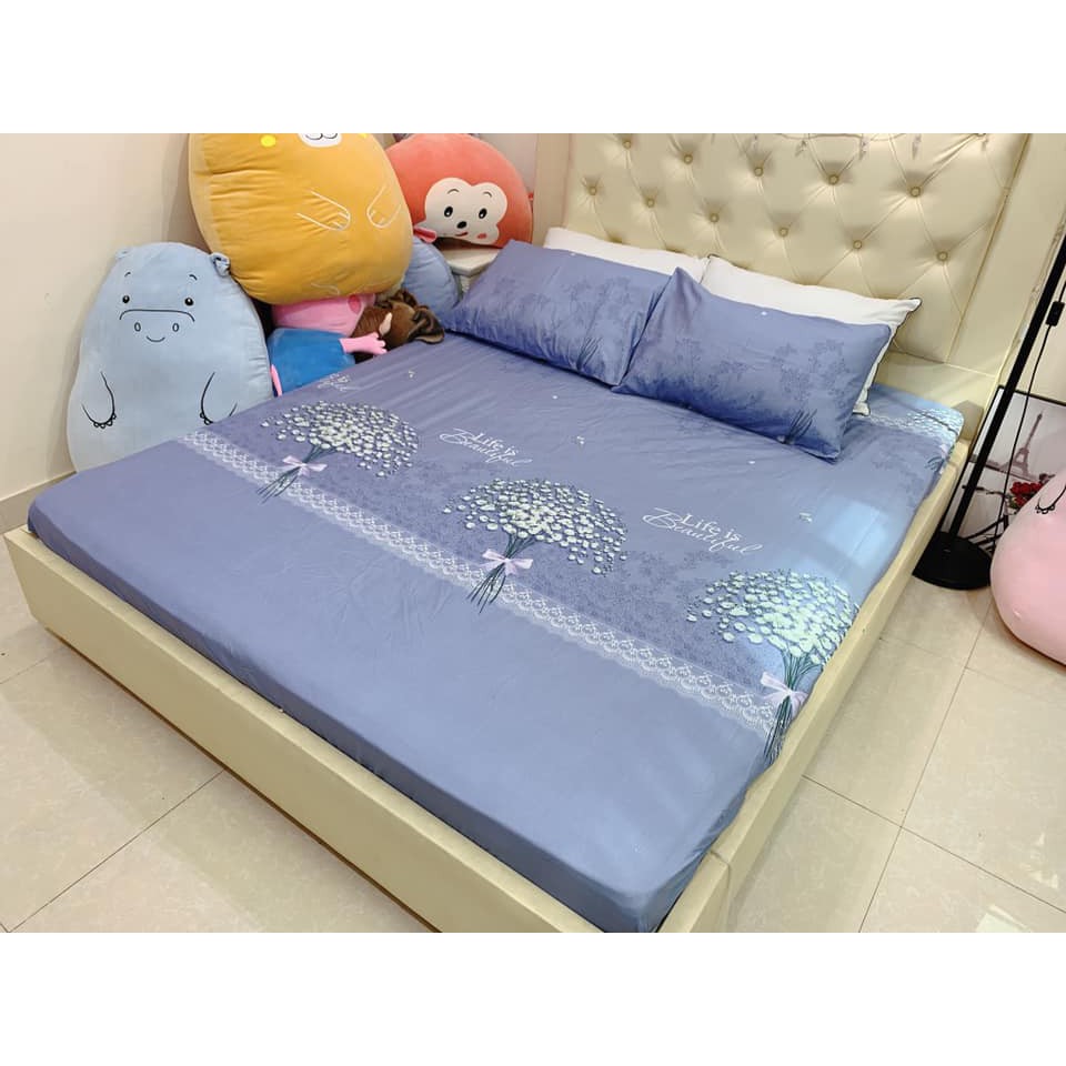 Ga chun poly và 2 vỏ gối nằm 2m x 2m2