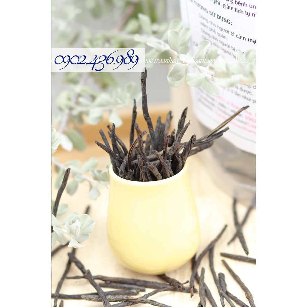 Chè Đắng (Trà Đắng) Cao Bằng