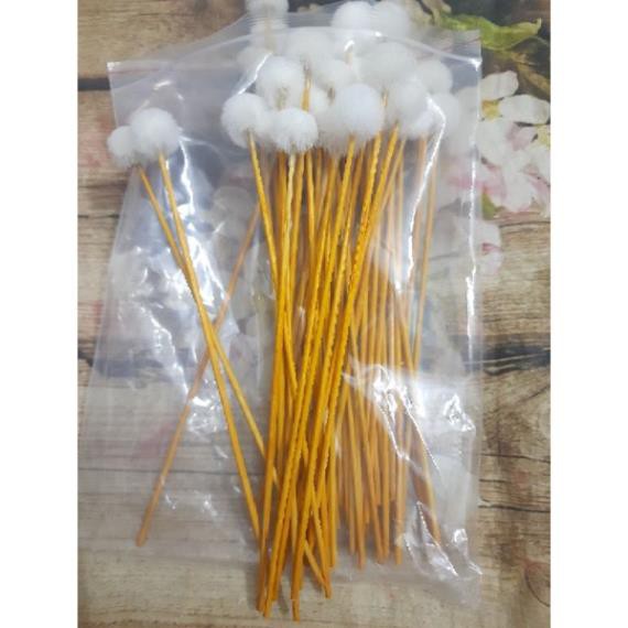 Cây xe lỗ tai gỗ vàng