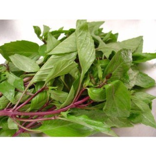 [HOT] Hạt giống Rau Húng quế - 2 gr
