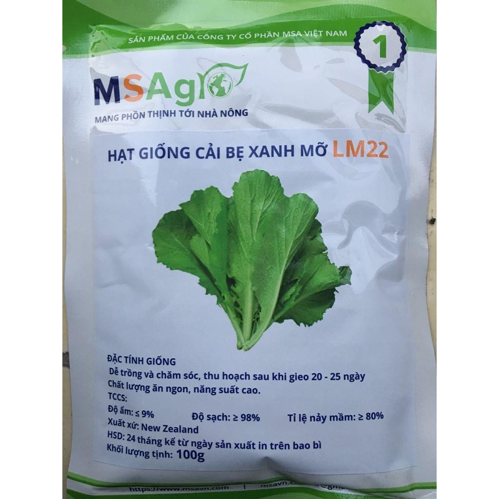 Hạt giống cải bẹ xanh mỡ 50gr dễ trồng ăn ngon, cây khỏe