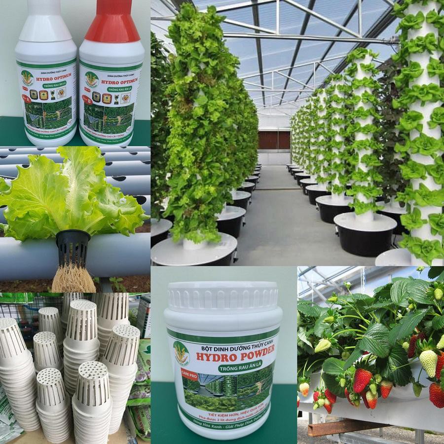 TRỤ TRỒNG RAU THỦY CANH