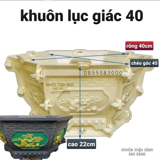 khuôn đúc chậu cảnh lục lục giác giác 40 (khuôn chậu ABS có lòng trong)