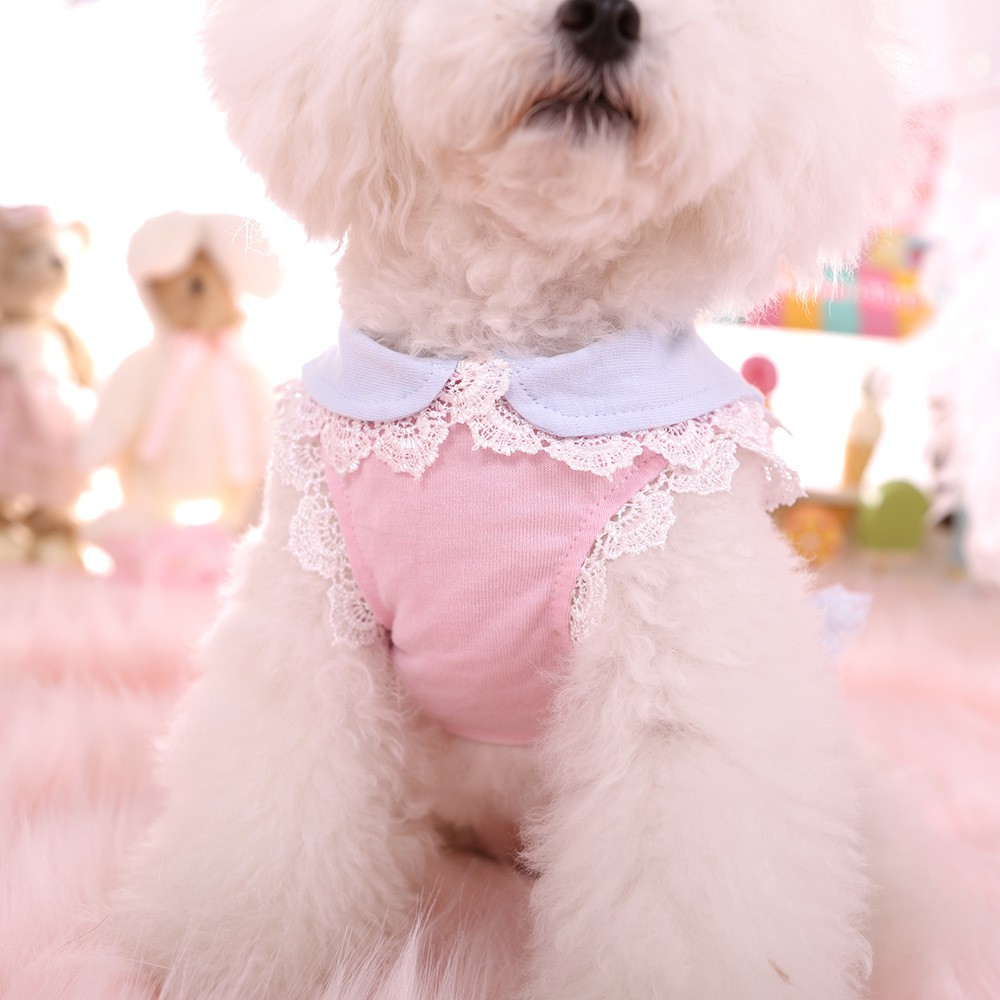 Váy thun cổ thủy thủ nơ ren CAMQUYTSTORE cho thú cưng