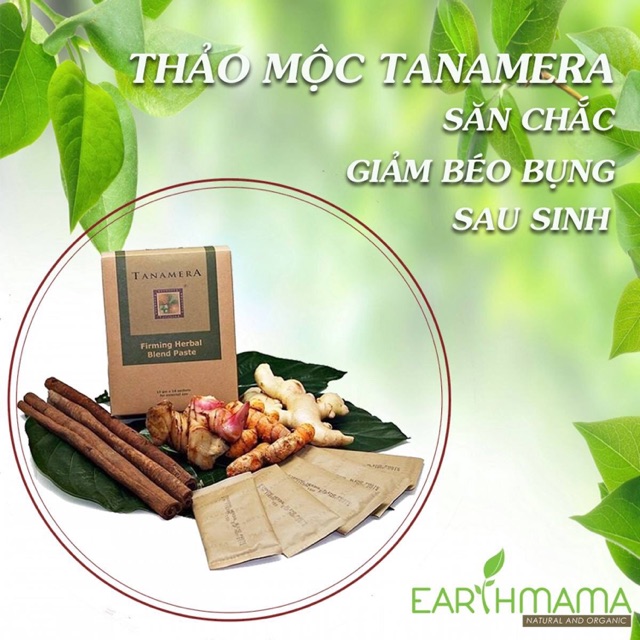 THẢO MỘC SĂN CHẮC BỤNG TANAMERA