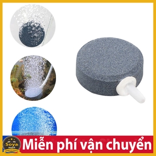 Sủi đĩa oxy siêu mịn 6cm 10cm