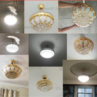 QUẠT TRẦN CÓ ĐÈN ĐIỆN QUANG DQ 8015