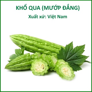 Hạt giống khổ qua lai f1 - hạt giống mướp đắng