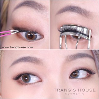 Mi Giả Aritaum Basic & Premium IDOL Lash