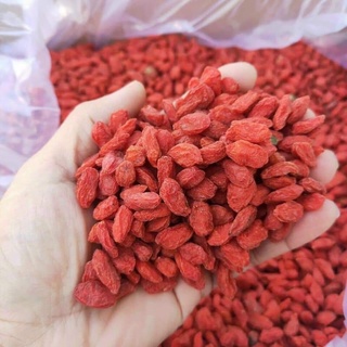 [CHÍNH HÃNG] Kỷ Tử (Câu Kỉ Tử) Đỏ Đều LOẠI ĐẸP Giúp Đẹp Da, Bổ Máu, Dễ Ngủ, Sáng Mắt