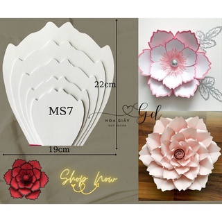 Bộ Mẫu Cánh Hoa 5 cánh chất liệu form 3mm