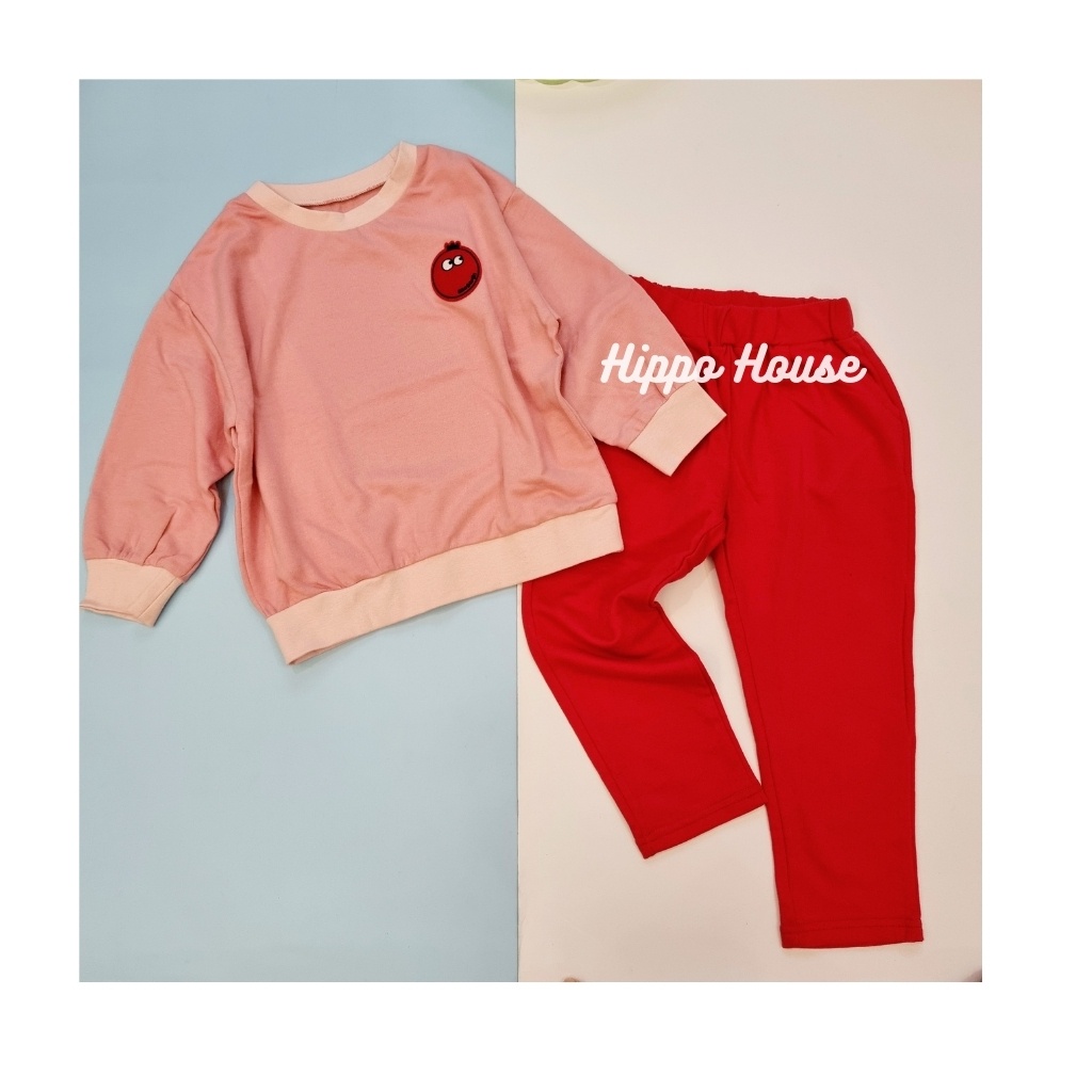 XẢ KHO Quần Dài Nỉ Da Cá Bé Gái Bé Trai Xuất Hàn Nhiều Màu Size 90 -150 Hippo House