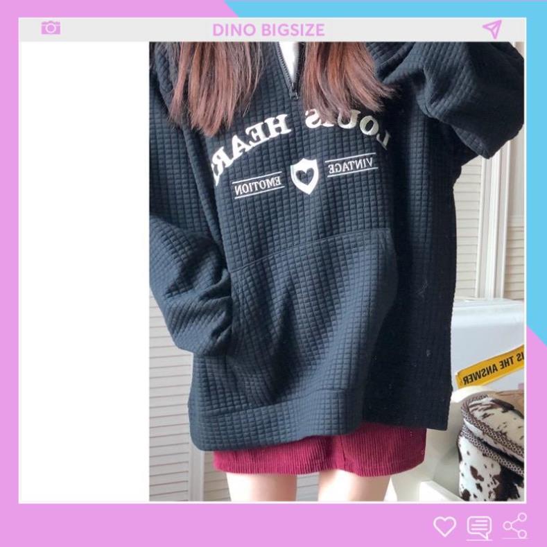 Áo polo nữ bigsize, Áo polo nữ dài tay form rộng M-4XL - DINO | BigBuy360 - bigbuy360.vn