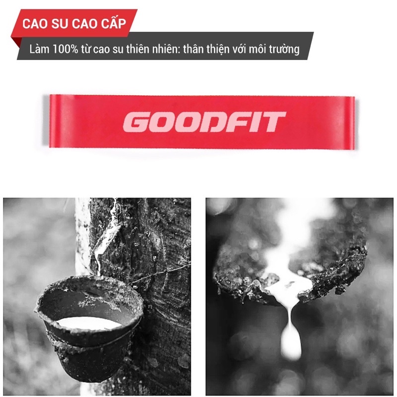 Dây Mini Band Cao Su Kháng Lực Tập Mông Đùi GoodFit GF911MB Chính Hãng Giá Cực Shock