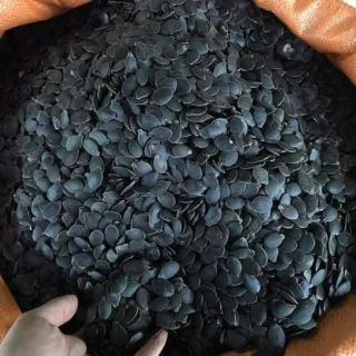 [FREESHIP 99K TOÀN QUỐC] HẠT BÍ ĐEN CỦA DÂN TỘC MÈO