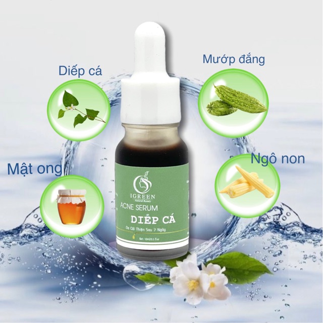 Igreenvietnam21