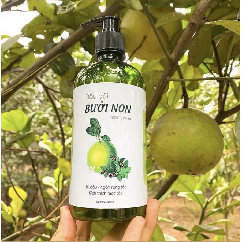 [HCM] Dầu gội bưởi non 500ml