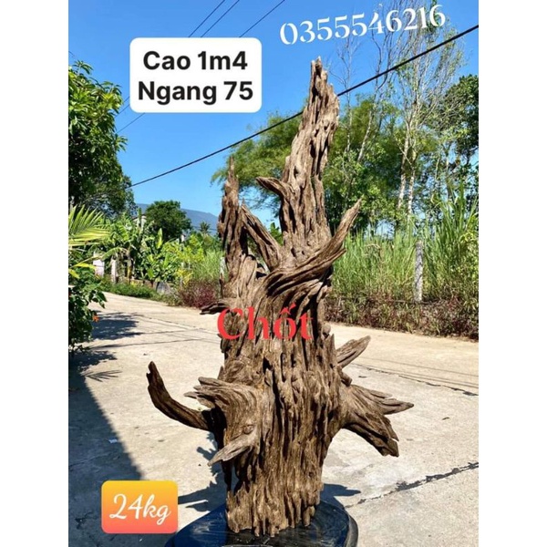 trầm cảnh phòng thuy