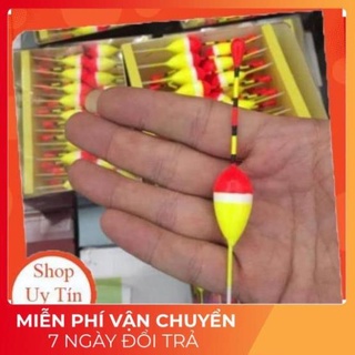 **- phao câu đơn phao câu đài hợp lý --tt