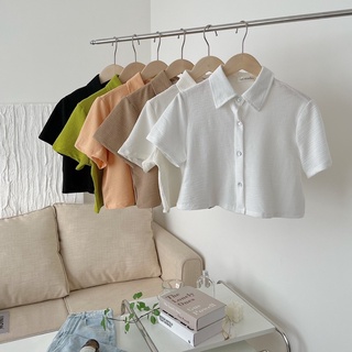 Áo polo croptop chất xốp mềm basic