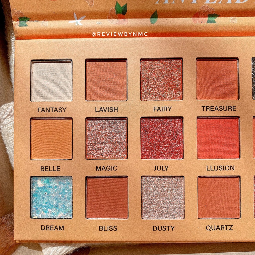 Bảng phấn 21 ô makeup Pro Any Lady Orange bé Cam