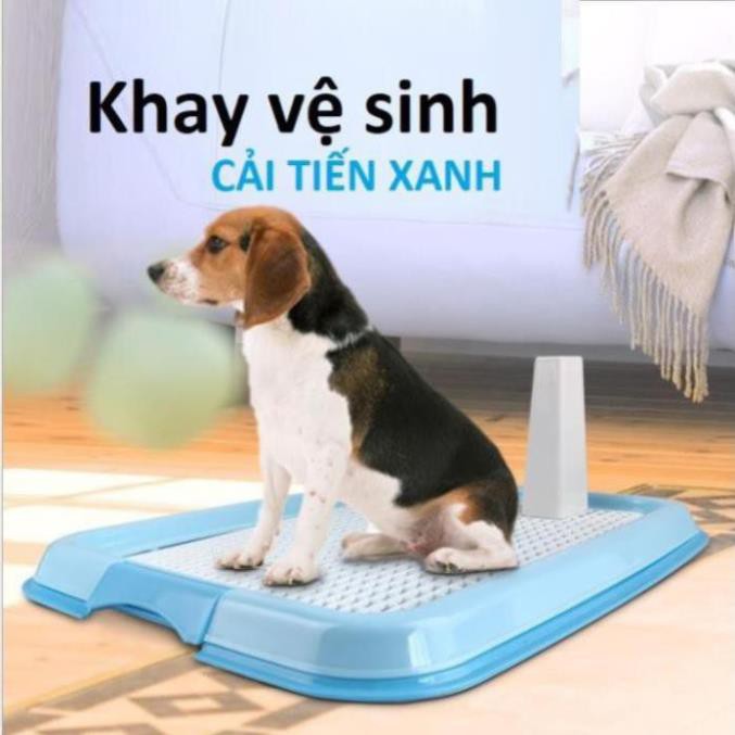 (Loaij Có trụ) Khay vệ sinh cho chó kiểu cải tiến cho chó dưới 8kg (có trụ)