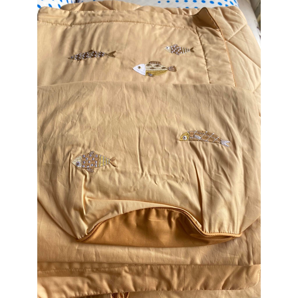 Bộ Drap chun chần EVERON MDSC039