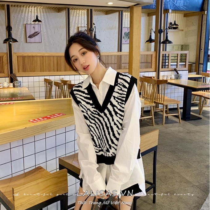 Áo len không tay họa tiết ngựa vằn thời trang Hàn Quốc | BigBuy360 - bigbuy360.vn