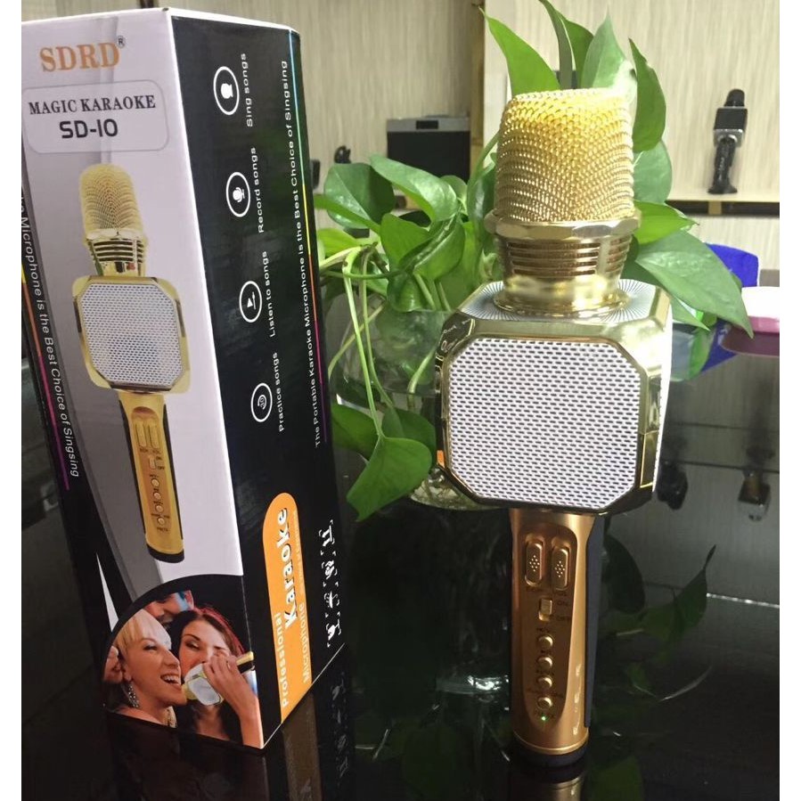 Mic hát Karaoke SD-10 cao cấp, âm hay bass trầm, có khe cắm thẻ nhớ và đài FM