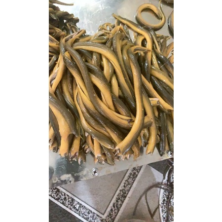 500gr Lươn đồng làm sẵn lọc thịt - Tặng kèm nước cốt xương lươn