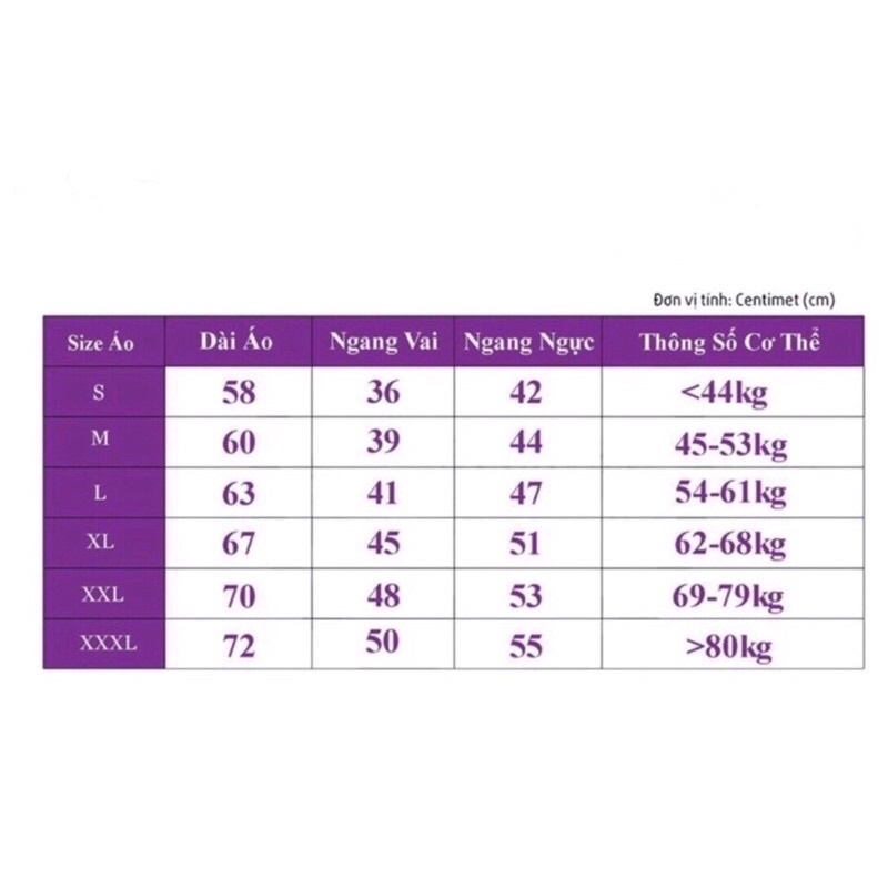 Áo Polo đội tuyển bóng đá Anh - W01