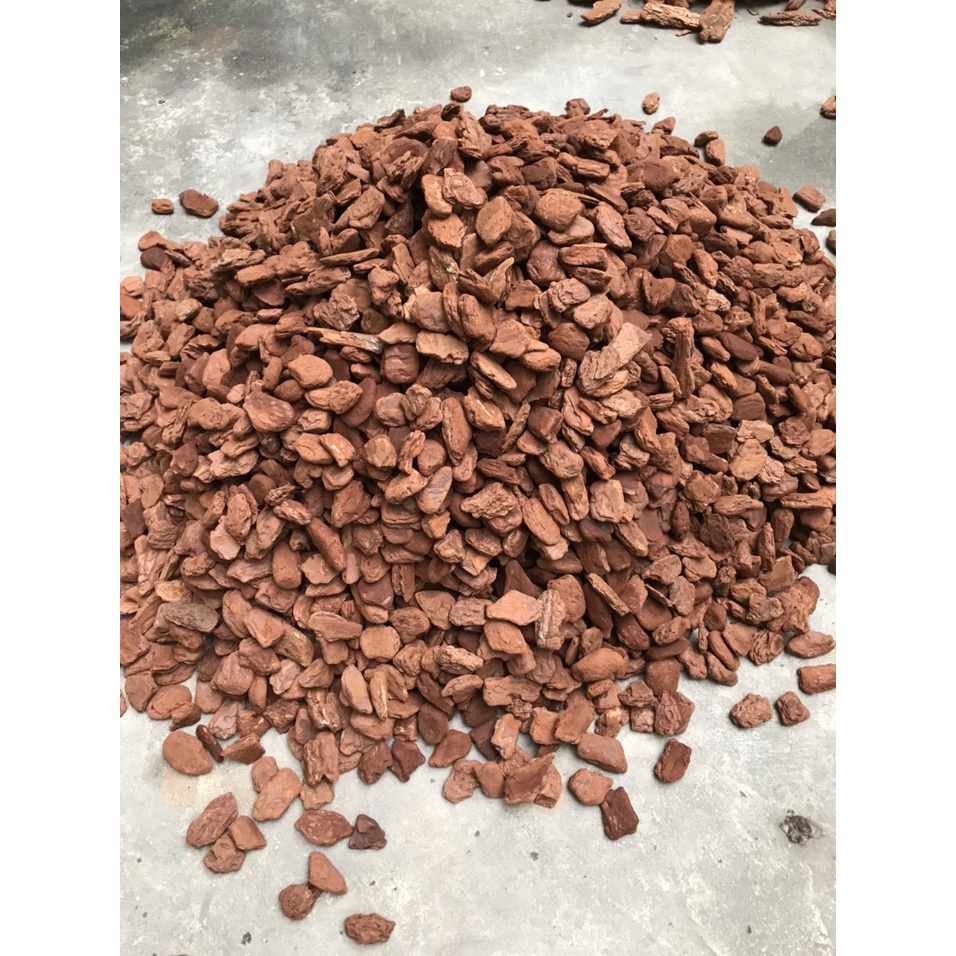 1kg vỏ thông đỏ trồng hoa lan hàng mài cạnh siêu đẹp đủ mọi kích cỡ