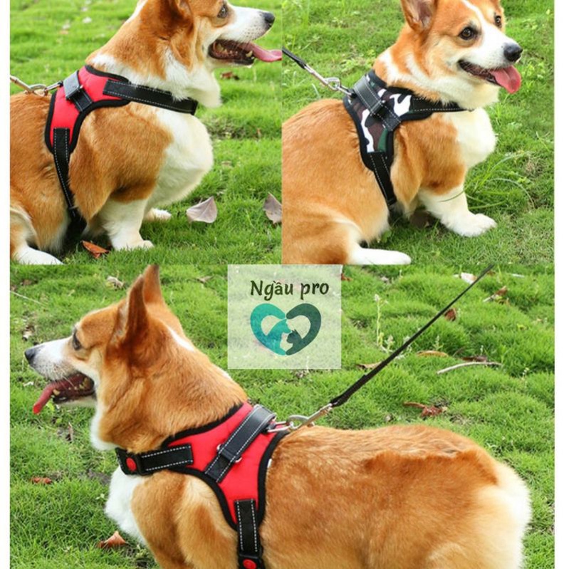 Yếm Dắt Chó đi dạo huấn luyện, Đai Yếm lưng cho Chó lớn hình chữ X - NGAU2021