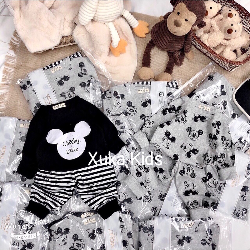 Bộ dài tay thu đông cho bé trai ( 1 set có 2 bộ )