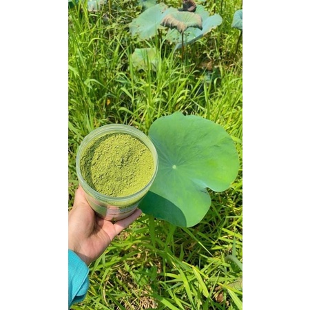 Siêu phẩm 1 hộp Bột lá sen 500gr cực nguyên chất