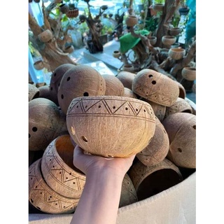 chậu gáo dừa trồng cây